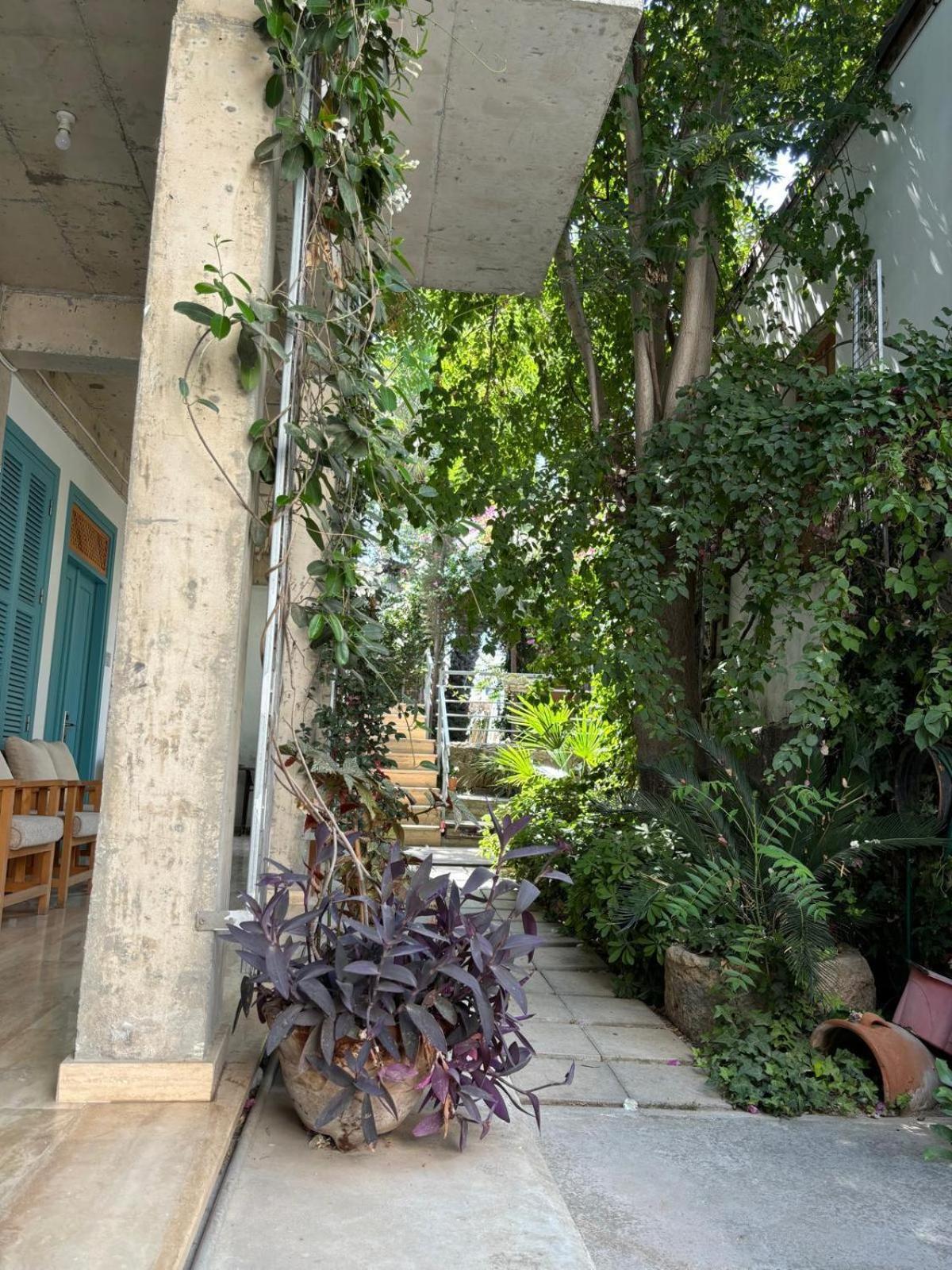 فندق Nicosia Eagle Eye المظهر الخارجي الصورة